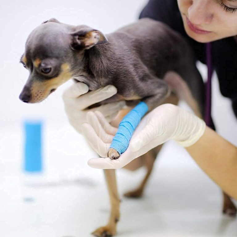 Topical Skin Adhesive For Wound Closure