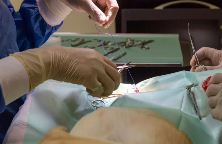 Types of Veterinary Surgical Sutures